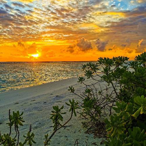 زول میزنم بت انگار یه خوابه بیبی برمیگردم باز یه روزی تهران کنارت